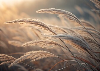 Abstract Natural Fiber Texture Background