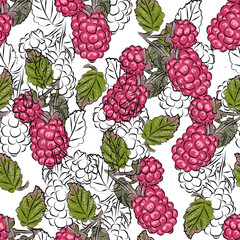 A vibrant pattern with hand-drawn blackberries and raspberries. The bright pink background adds a bold, modern feel. Perfect for a striking look.