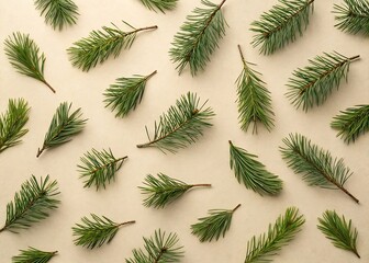 Flat Lay Pine Leaves on Neutral Flat Surface