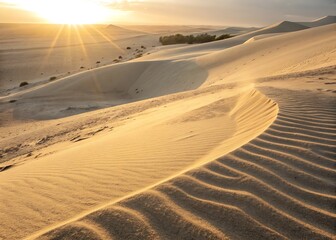 Soft Sand Dune Texture with Sunlight Effect