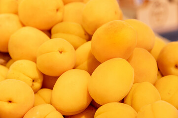 Ripe juicy orange apricots, fruit background. View of freshly picked apricots in shallow depth of field, yellow juicy fruits, seasonal fruit