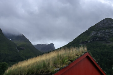  grassy roof against the background of the mountains - Norway