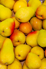 Background with bunch of ripe yellow pears. Harvest from own garden. View of pile of beautiful fresh fruits from farm