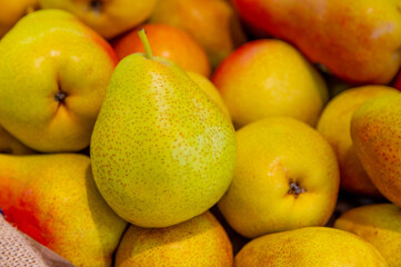 Background with bunch of ripe yellow pears. Harvest from own garden. View of pile of beautiful fresh fruits from farm