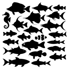 Set of sea fish silhouettes. Vector illustration isolated on white background.
