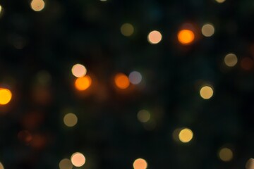 Majestic Christmas Tree Sparkles with Vibrant Lights