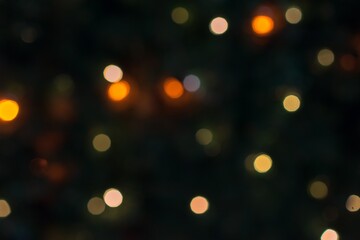 Magnificent Christmas Tree Illuminated with Twinkling Lights