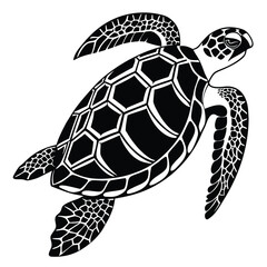  Turtle Silhouette Oceanic Wildlife Illustration