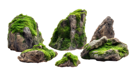 Collection of moss-covered natural rocks isolated on white background. 