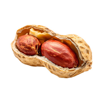 Roasted peanuts in shell close up view snack food