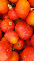 Pumpkins at outdoor farmer's market
