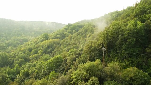 Clouds passing over the mountains through the trees.