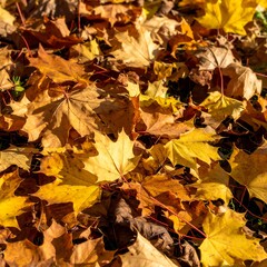 Fototapeta premium Autumn leaves carpet (2)