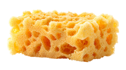 Yellow Cleaning Sponge Detailed Macro Shot