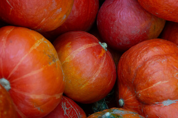 Pumpkins at outdoor farmer's market
