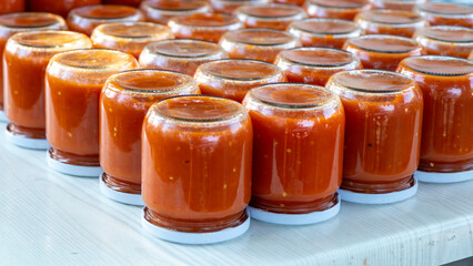 Rows of freshly canned homemade tomato sauce in glass jars, cooling upside down on a table....
