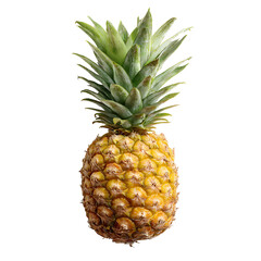 Ripe Pineapple Isolated on Black Background Tropical Fruit Vitamin C Healthy Eating