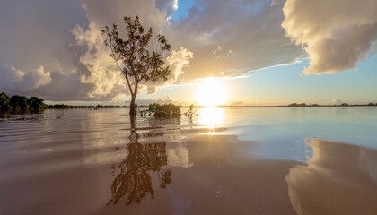 Obraz premium Tree Reflected in Floodwater at Sunset
