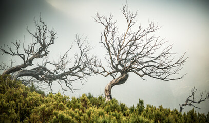view of the mountains and rocks near Arieiro peak - the highest point of Madeira island, Portugal