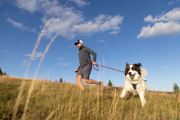 Obraz premium happy white dog playing with owner outdoors