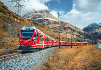 Red Bernina Express train passing through colorful autumn forest in the Swiss Alps, with dramatic clouds, golden trees and snowy mountain peaks in the background in Switzerland. Glacier express train