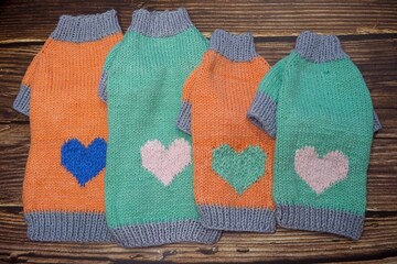 top view of four knitted orange and mint dog sweaters with hearts and gray elastic of different sizes on wooden background. warm pet clothes. cozy