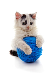 Kitten with a ball.