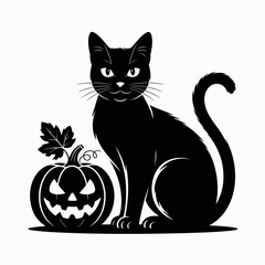 Black cat sitting next to a spooky jack o lantern pumpkin