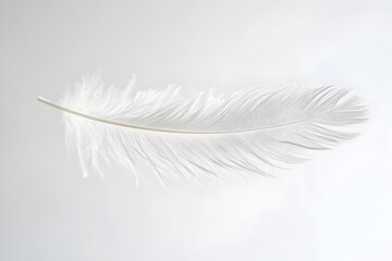 Obraz premium Intricate close-up of a single white feather on minimal background