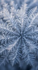 A stunning macro photograph of a delicate snowflake crystal with intricate geometric patterns