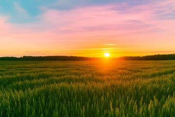 Obraz premium Breathtaking Sunset Over a Wheat Field, Golden Light Illuminating a Vast Agricultural Landscape in Nature