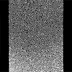 Black and white turing pattern reaction diffusion abstract art generative design organic texture background image © Aoun