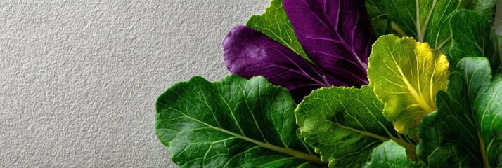 farm fresh web banner, watercolor-style web banner features soft brush illustrations of herbsvegetables, light paper background, and central space for website message