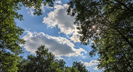 Breathe in the beauty of nature with this stunning view of blue skies and fluffy clouds framed by vibrant green treetops, inviting a sense of calm and wonder, perfect for nature lovers