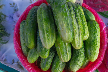 Fresh cucumbers stacked in a market display. Farm fresh cucumbers in a vibrant pile representing natural produce clean eating and seasonal vegetables.