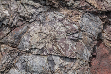 Chert / sedimentary rock. commonly with thin interlayers of reddish-brown shale, graywacke and greenstone. Coyote Point Beach, San Mateo, California. San Francisco Peninsula. San Francisco Bay 
