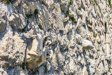 Stone wall texture with natural moss and plants