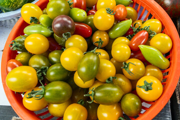 Colorful cherry tomatoes in a basket. Fresh organic cherry tomatoes in vibrant shades of red yellow green and purple representing healthy eating seasonal harvest and farm lifestyle.