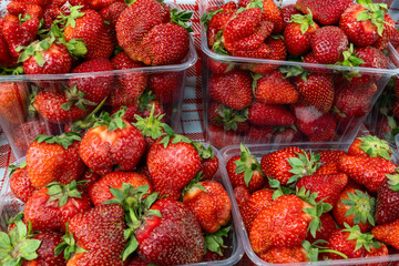 Fresh Strawberries at the Market. A Colorful Display of Ripe Strawberries Inviting You to Taste the Sweetness of Summer. The Joy of Harvesting Fresh Strawberries from Local Farms.