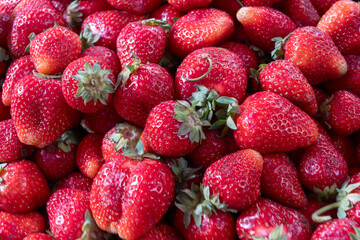 Fresh Strawberries at the Market. A Colorful Display of Ripe Strawberries Inviting You to Taste the Sweetness of Summer. The Joy of Harvesting Fresh Strawberries from Local Farms.