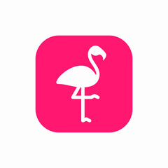 flamingo bird icon sign vector