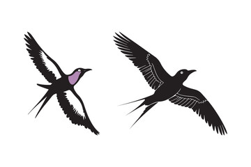 Two black birds in flight with detailed wings