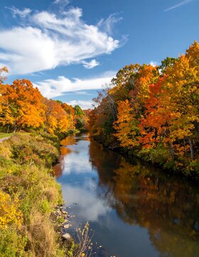 Autumnal river scene