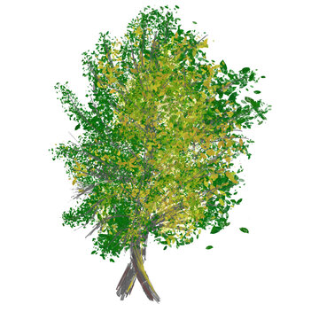 Green Tree Illustration with Dense foliage