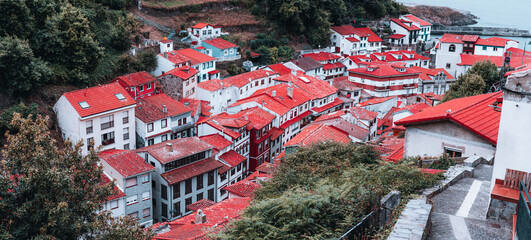 Vibrant view of Cudillero, Spain, with tightly packed houses and bright red tiled rooftops cascading down the hillside toward the sea, framed by lush greenery and coastal charm