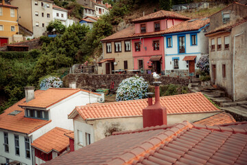 Obraz premium Selective focus on a seagull perched on a red chimney in Cudillero, Spain, with blurred background of colorful houses, terracotta rooftops, and blooming hydrangea bushes