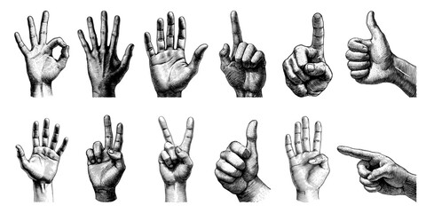 Collection of hand gestures in a vintage engraving style, black and white