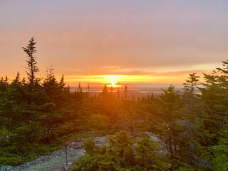 Golden sunrise over a forested mountain landscape with evergreen trees silhouetted against the colorful sky. Peaceful wilderness view capturing the beauty of nature at dawn.