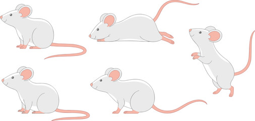 Cartoon white mice in various poses, cute rodent characters, animal design – cad drawing flat vector illustration vectorizer