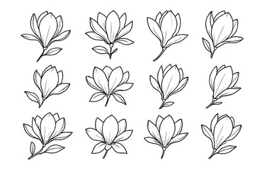 Hand-drawn magnolia flowers collection - black and white line art set